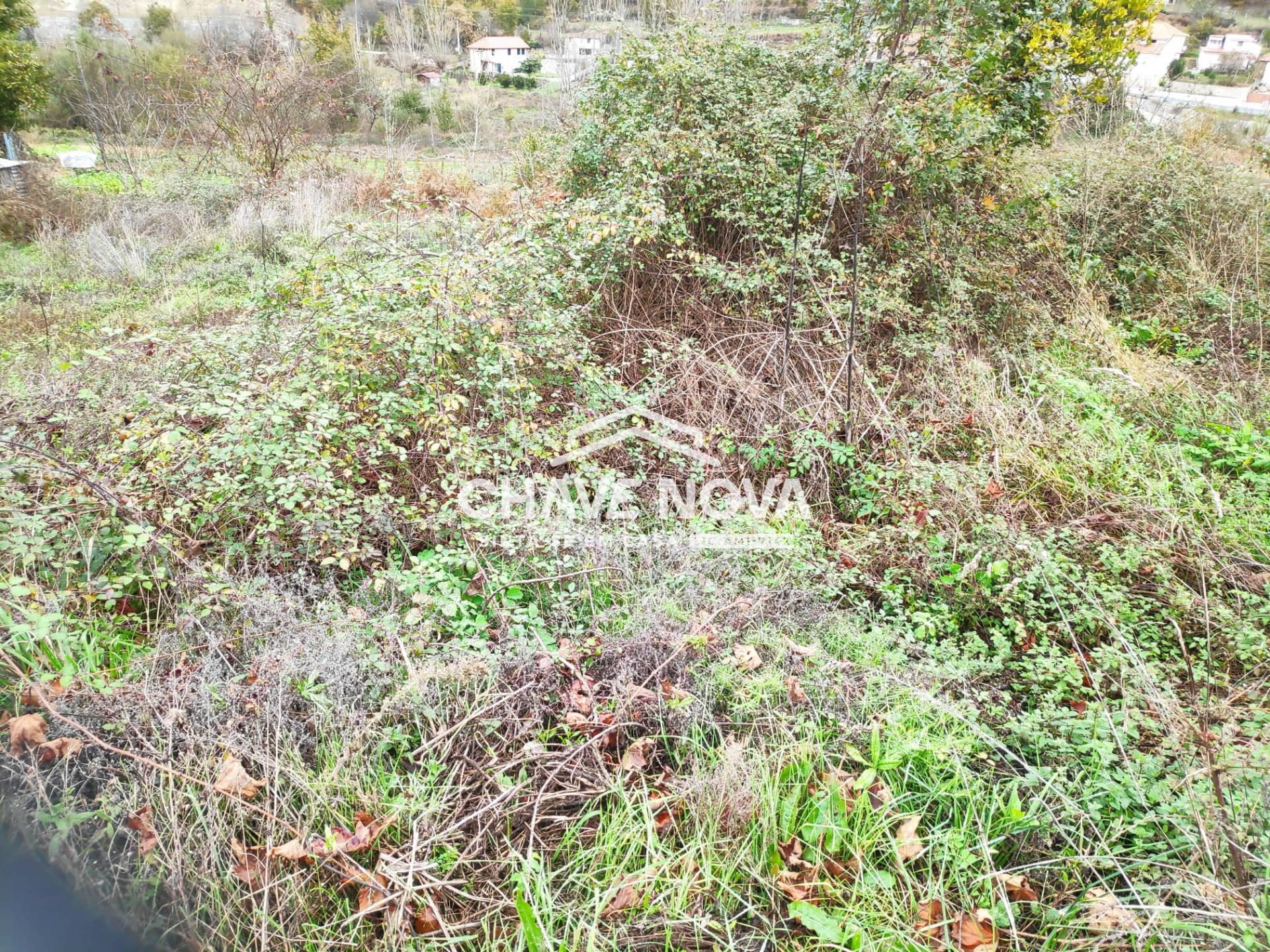 Terreno Rústico  Venda em Gove,Baião