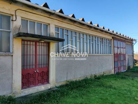 Fábrica/Indústria  Venda em São Roque,Oliveira de Azeméis