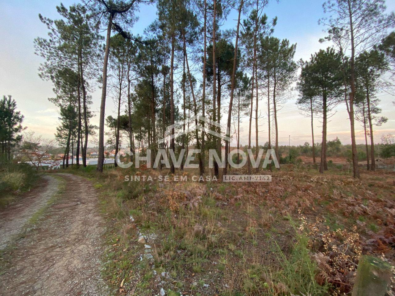 Lote de Terreno, Porto, Vila Nova de Gaia, Grijó e Sermonde