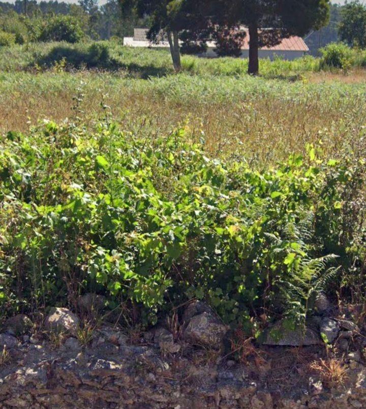 Lote de Terreno  Venda em Sandim, Olival, Lever e Crestuma,Vila Nova de Gaia