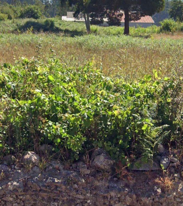 Lote de Terreno  Venda em Sandim, Olival, Lever e Crestuma,Vila Nova de Gaia