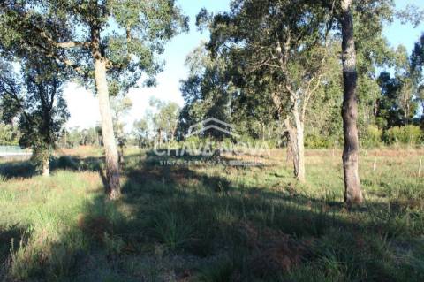 Lote de Terreno  Venda em Gulpilhares e Valadares,Vila Nova de Gaia
