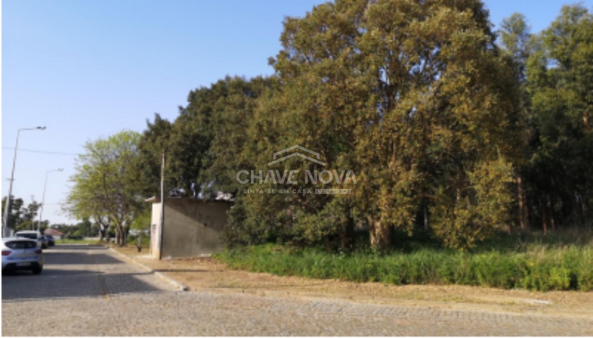 Lote de Terreno  Venda em Arcozelo,Vila Nova de Gaia