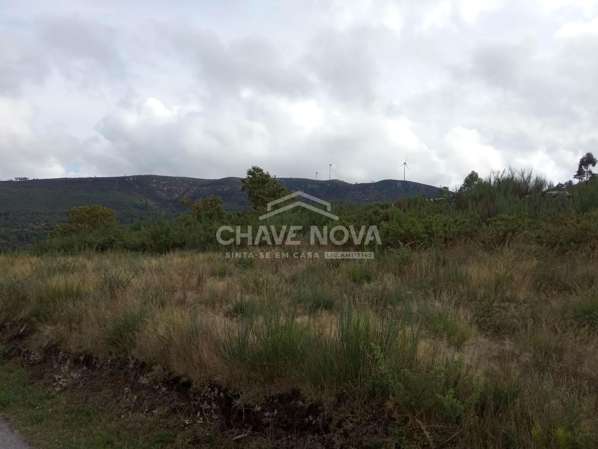 Terreno Misto  Venda em São Cristóvão de Nogueira,Cinfães