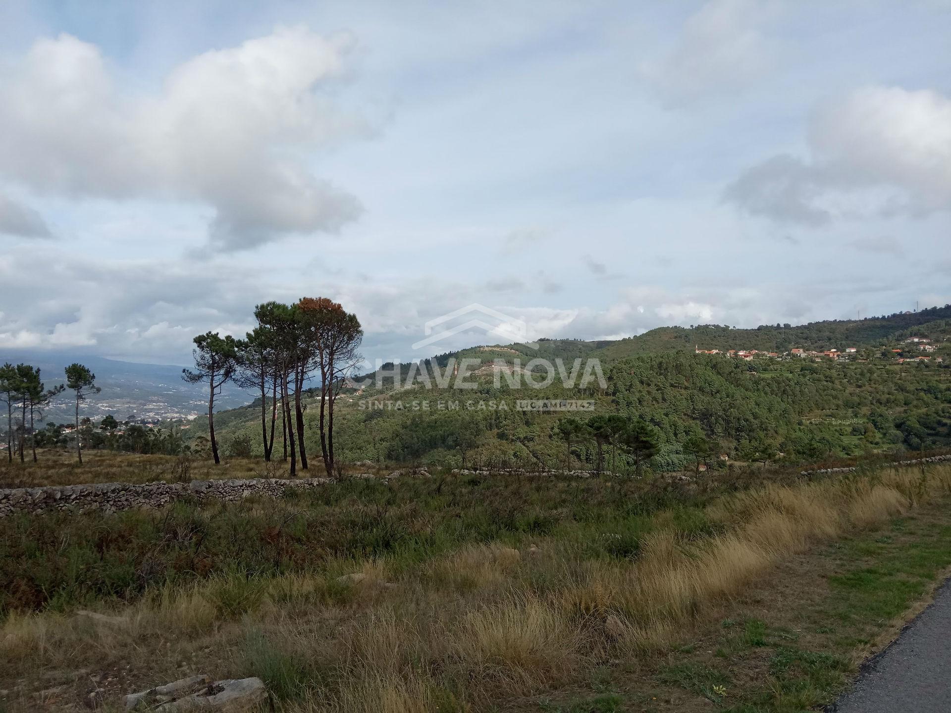 Terreno Misto  Venda em São Cristóvão de Nogueira,Cinfães