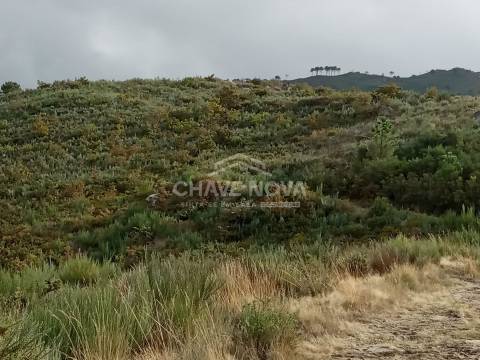 Terreno Misto  Venda em São Cristóvão de Nogueira,Cinfães