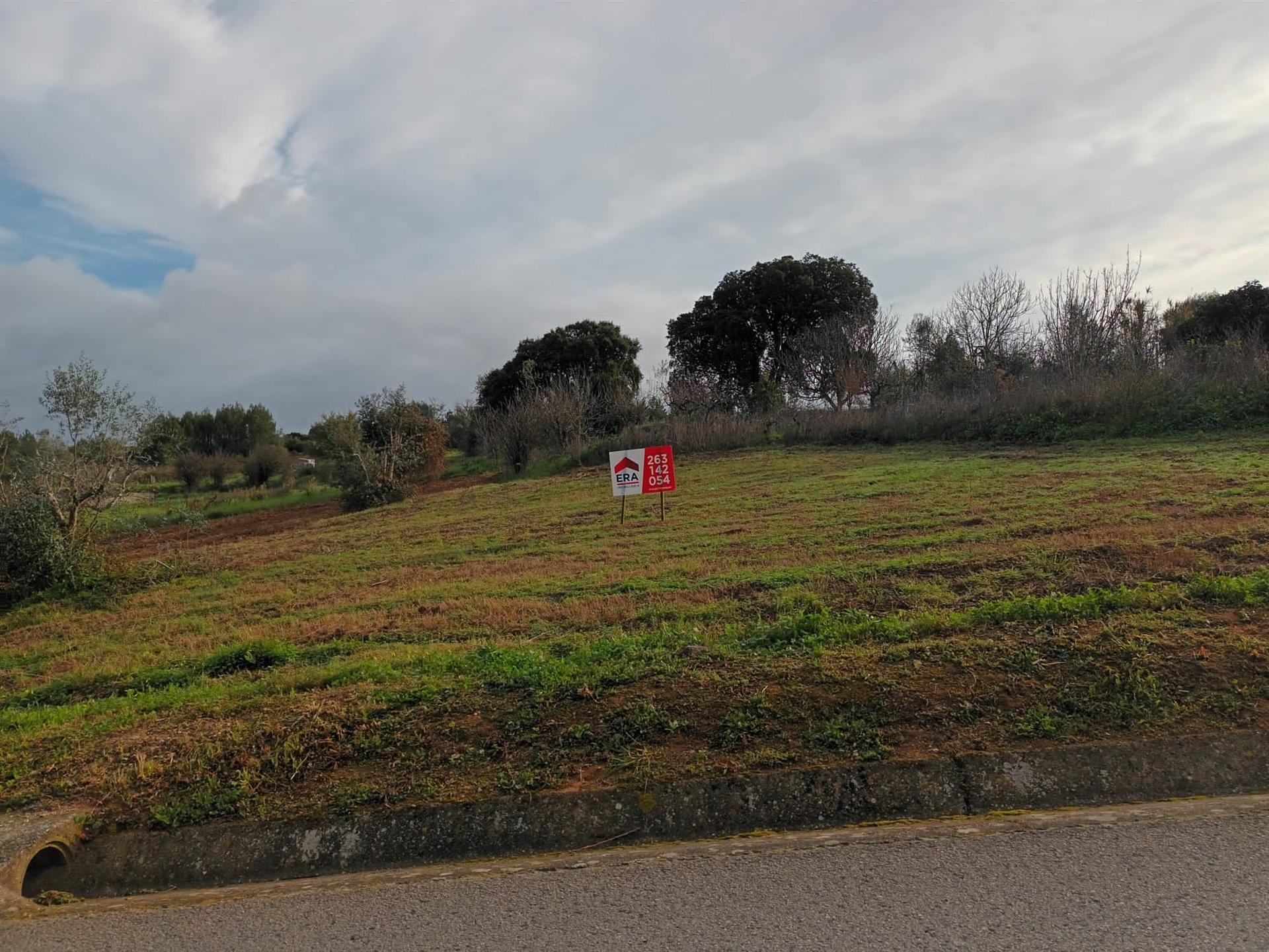 Terreno Rústico  Venda em Abrigada e Cabanas de Torres,Alenquer