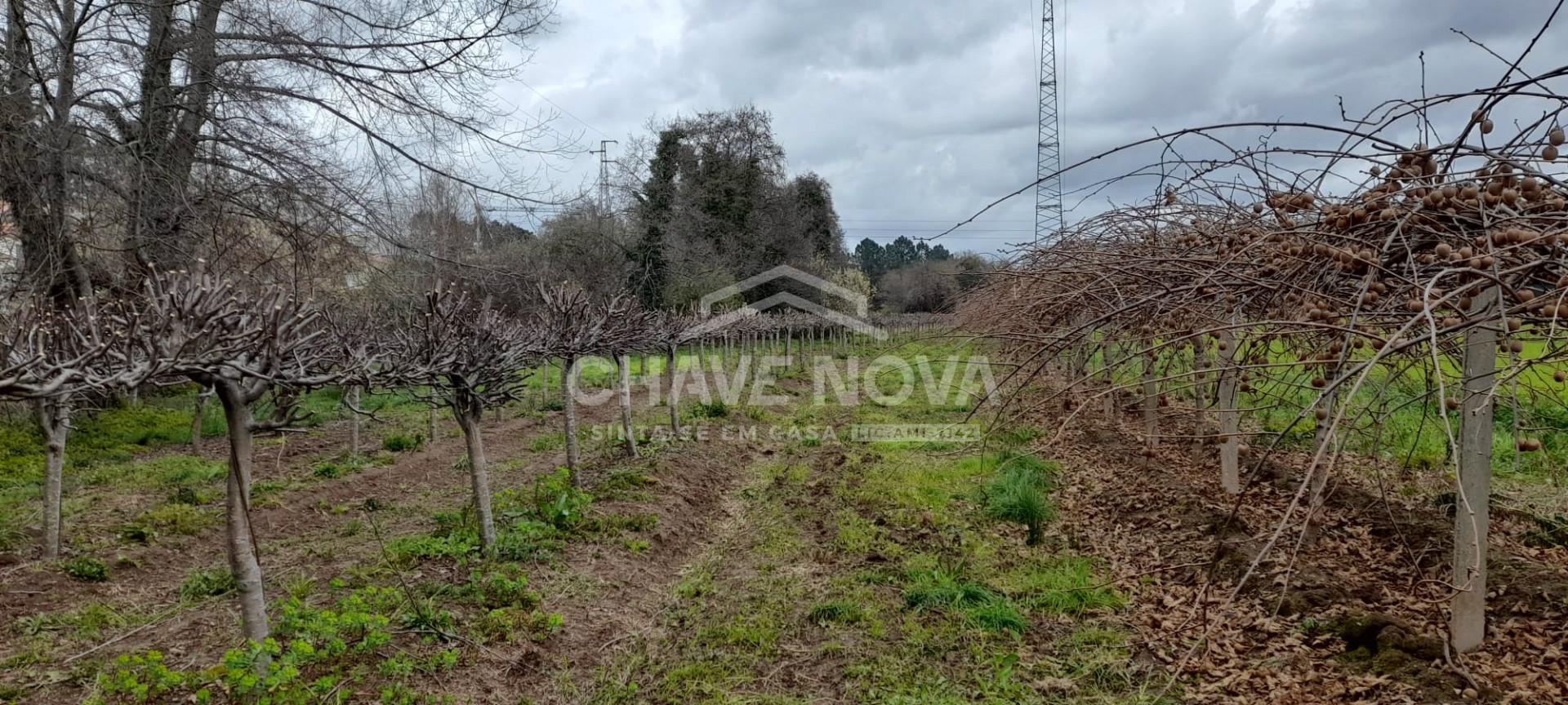 Terreno Rústico  Venda em Ermesinde,Valongo