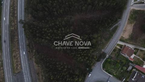 Terreno Rústico  Venda em Sandim, Olival, Lever e Crestuma,Vila Nova de Gaia