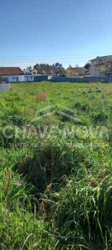 Terreno Rústico  Venda em Nogueira da Regedoura,Santa Maria da Feira