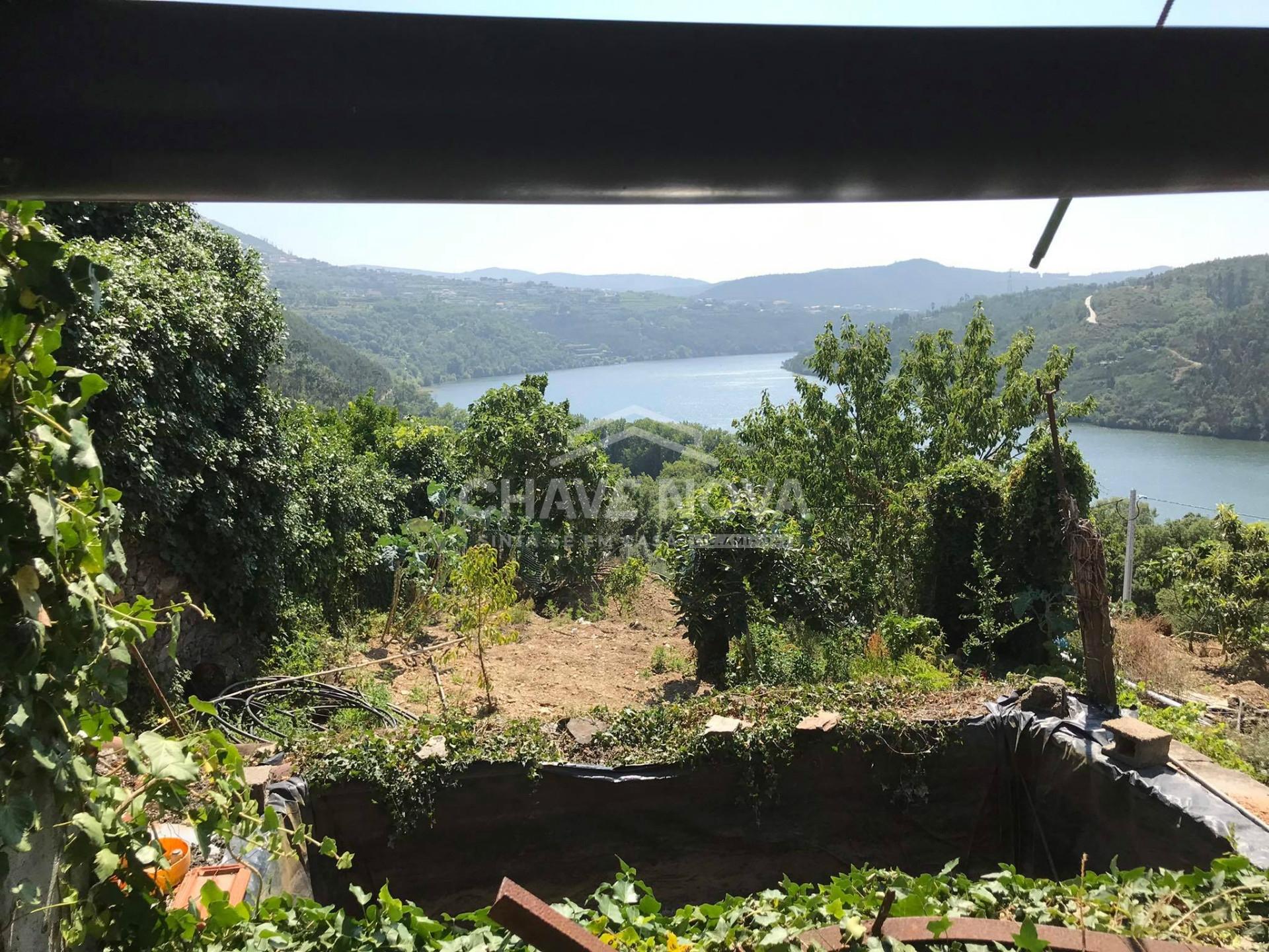 Terreno Rústico  Venda em Raiva, Pedorido e Paraíso,Castelo de Paiva