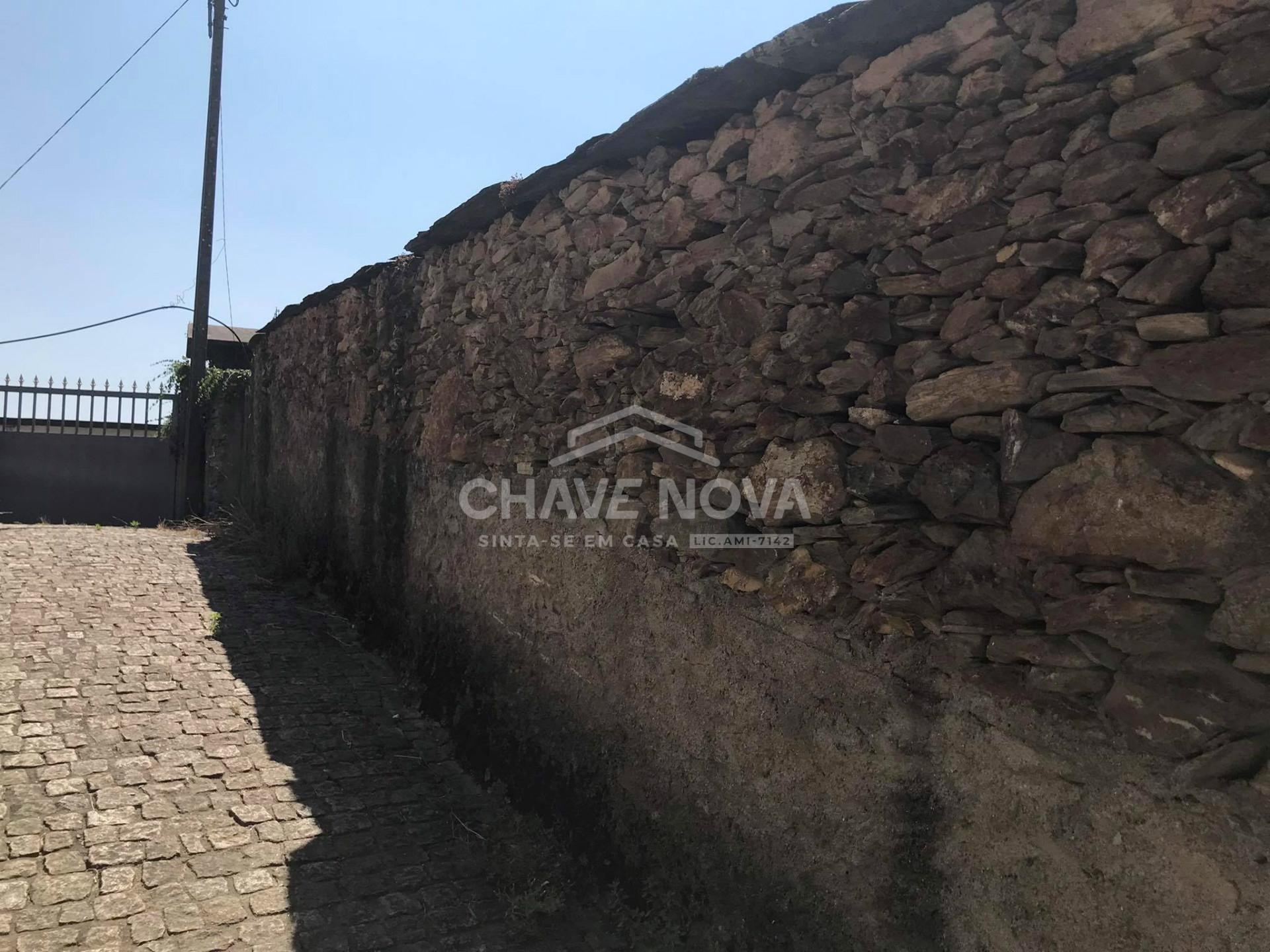 Terreno Rústico  Venda em Raiva, Pedorido e Paraíso,Castelo de Paiva