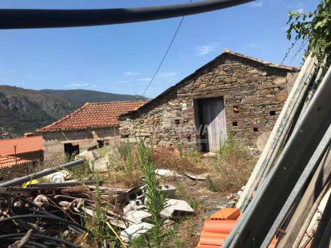 Terreno Rústico  Venda em Raiva, Pedorido e Paraíso,Castelo de Paiva