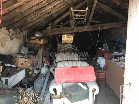 Terreno Rústico  Venda em Raiva, Pedorido e Paraíso,Castelo de Paiva
