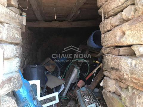 Terreno Rústico  Venda em Raiva, Pedorido e Paraíso,Castelo de Paiva