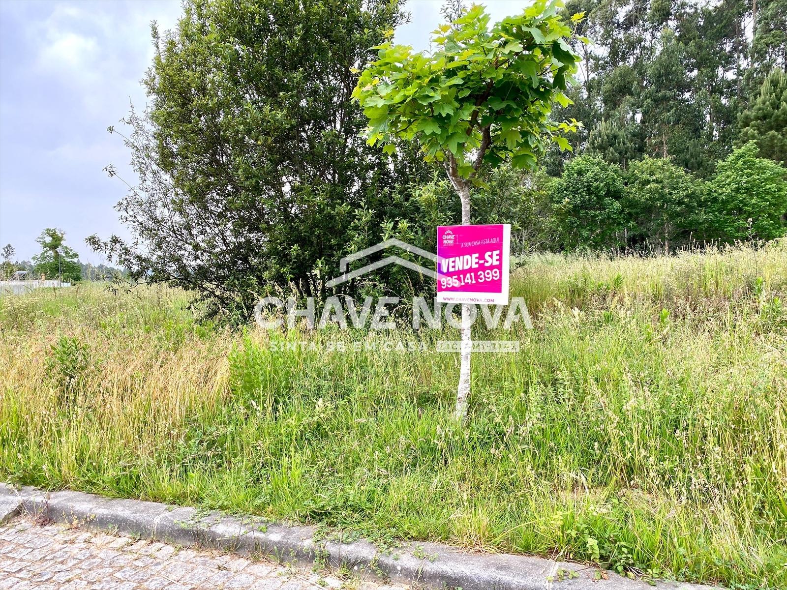 Lote de Terreno  Venda em São Miguel do Souto e Mosteirô,Santa Maria da Feira