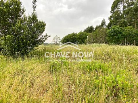Lote de Terreno  Venda em São Miguel do Souto e Mosteirô,Santa Maria da Feira