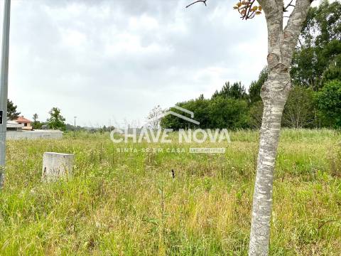 Lote de Terreno  Venda em São Miguel do Souto e Mosteirô,Santa Maria da Feira