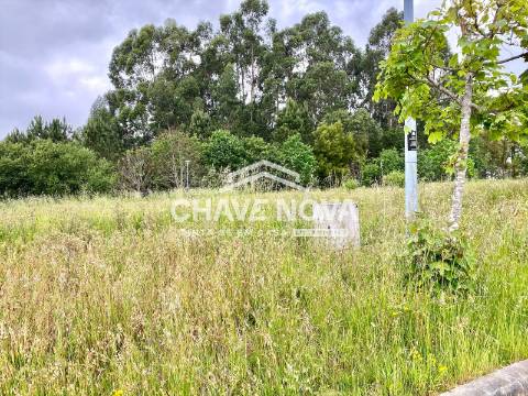 Lote de Terreno  Venda em São Miguel do Souto e Mosteirô,Santa Maria da Feira