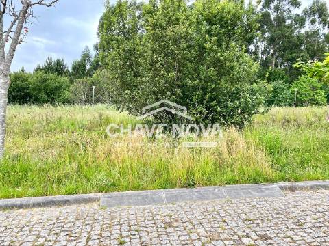Lote de Terreno  Venda em São Miguel do Souto e Mosteirô,Santa Maria da Feira