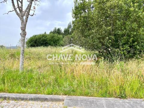 Lote de Terreno  Venda em São Miguel do Souto e Mosteirô,Santa Maria da Feira