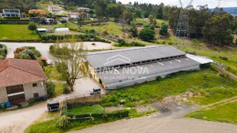 Quinta  Venda em Fermentões,Guimarães