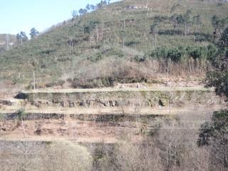 Lote de Terreno  Venda em Cinfães,Cinfães