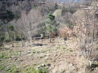 Lote de Terreno  Venda em Cinfães,Cinfães