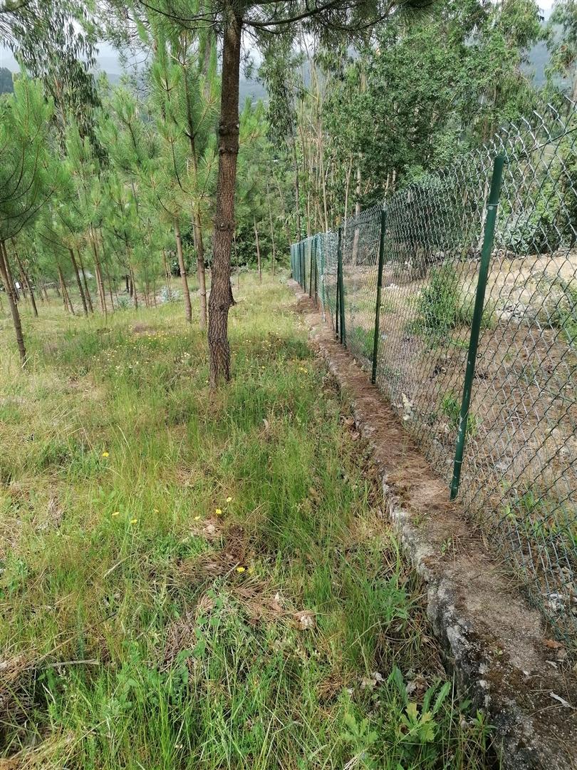 Terreno  Venda em Rubiães,Paredes de Coura