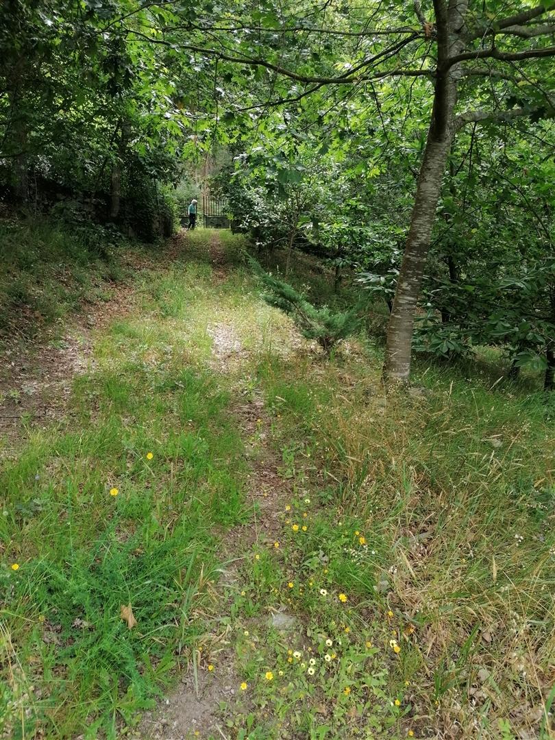 Terreno  Venda em Rubiães,Paredes de Coura