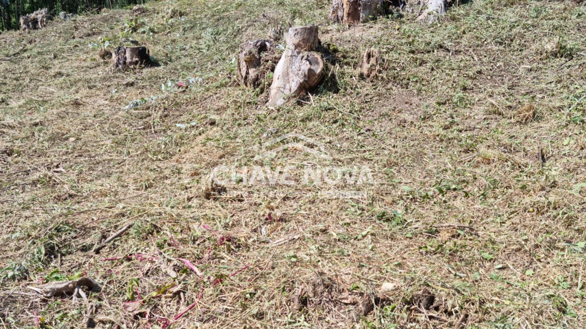 Terreno Para Construção  Venda em Serzedo e Perosinho,Vila Nova de Gaia