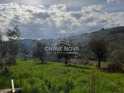 Moradia T3 Venda em Santar e Moreira,Nelas