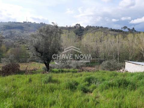 Moradia T3 Venda em Santar e Moreira,Nelas