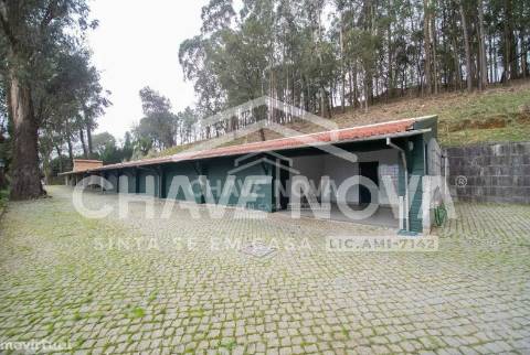 Quinta  Venda em Oliveira de Azeméis, Santiago de Riba-Ul, Ul, Macinhata da Seixa e Madail,Oliveira de Azeméis