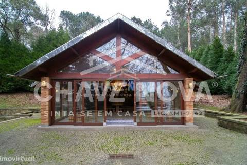 Quinta  Venda em Oliveira de Azeméis, Santiago de Riba-Ul, Ul, Macinhata da Seixa e Madail,Oliveira de Azeméis