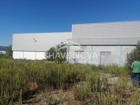 Armazém  Venda em Cantanhede e Pocariça,Cantanhede