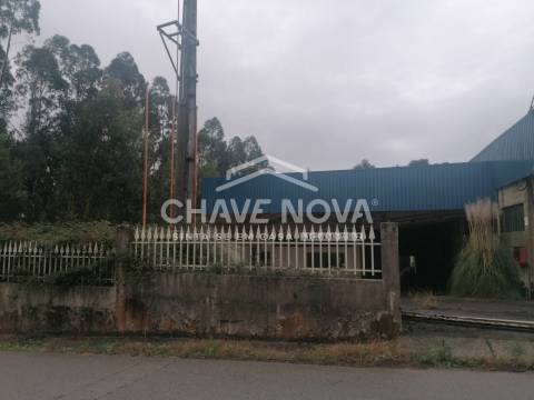 Armazém  Venda em São Martinho da Gândara,Oliveira de Azeméis