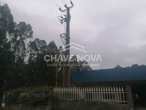 Armazém  Venda em São Martinho da Gândara,Oliveira de Azeméis