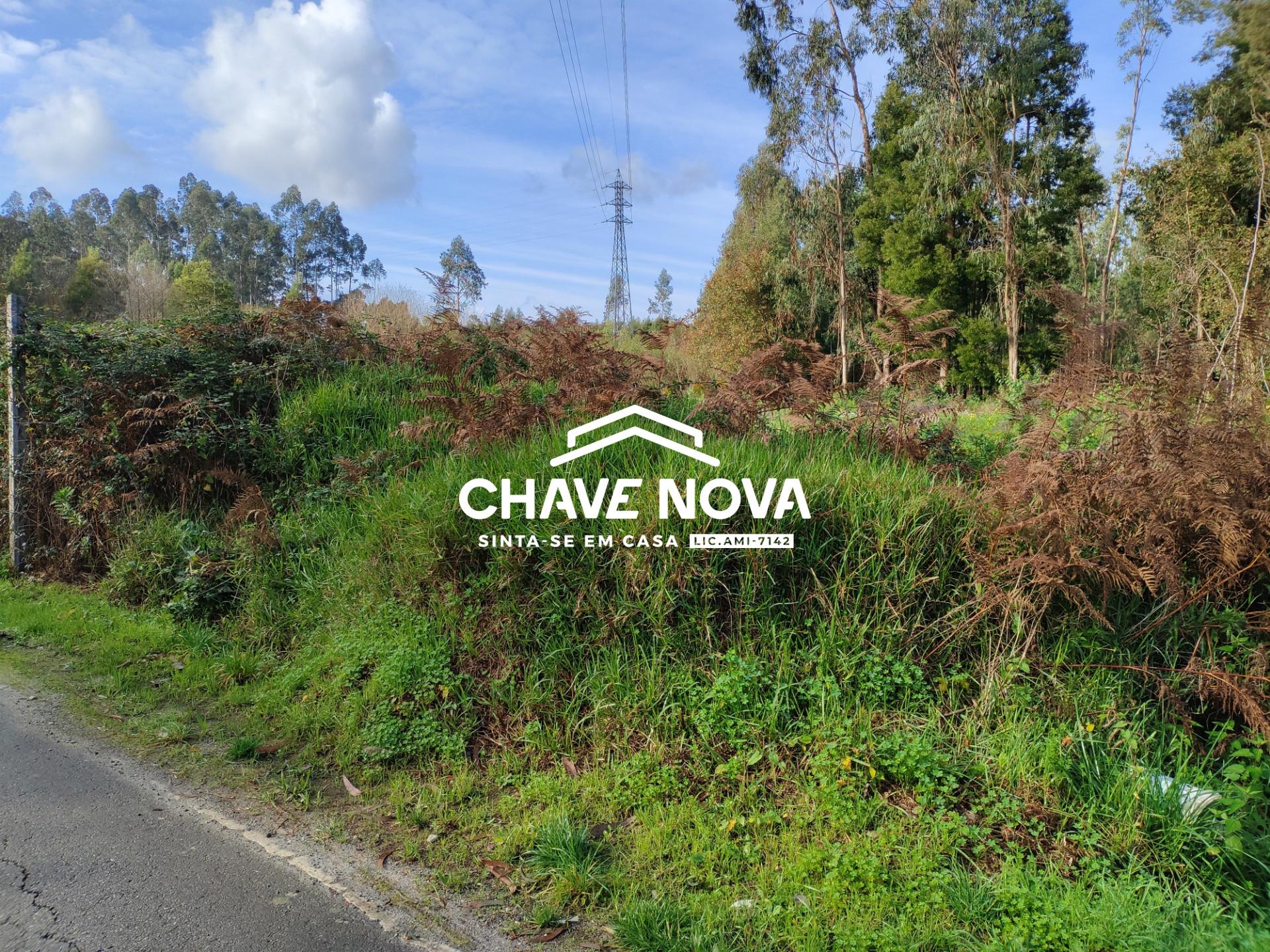 Lote Industrial  Venda em Rio Meão,Santa Maria da Feira