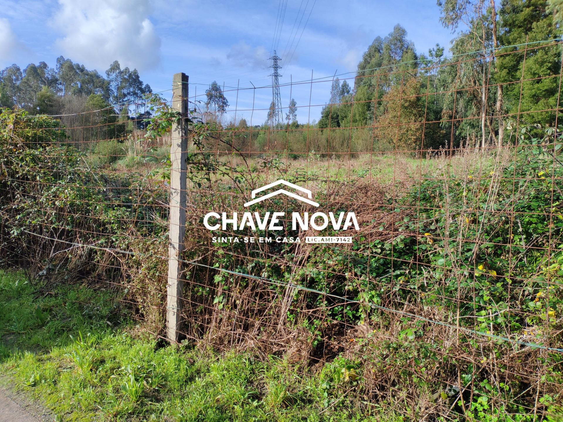 Lote Industrial  Venda em Rio Meão,Santa Maria da Feira