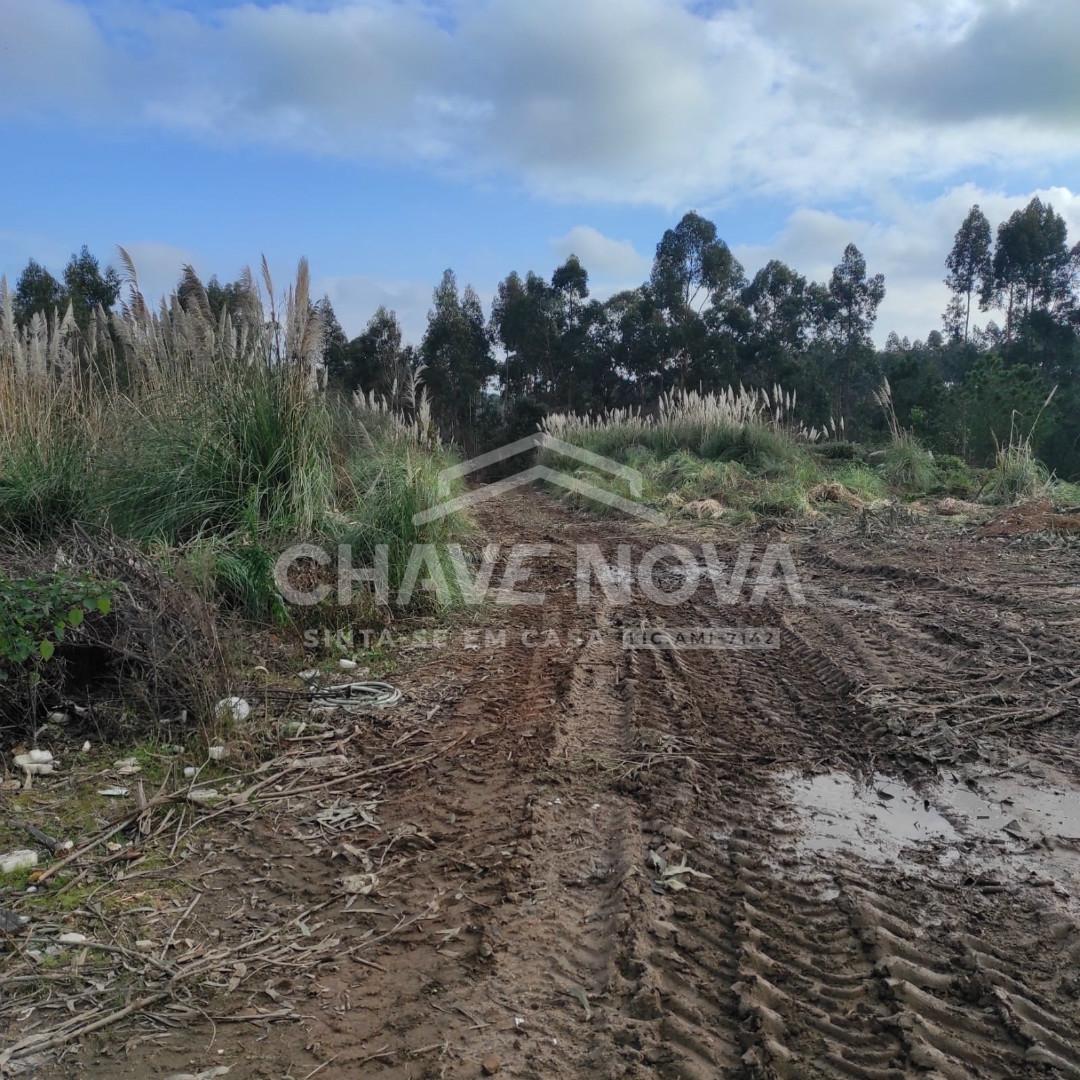 Lote Industrial  Venda em Serzedo e Perosinho,Vila Nova de Gaia