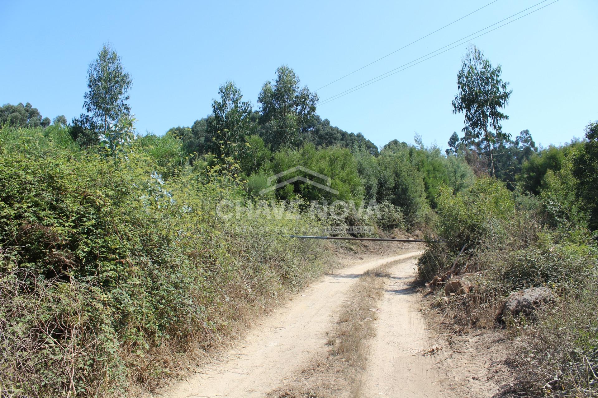 Lote Industrial  Venda em Mafamude e Vilar do Paraíso,Vila Nova de Gaia