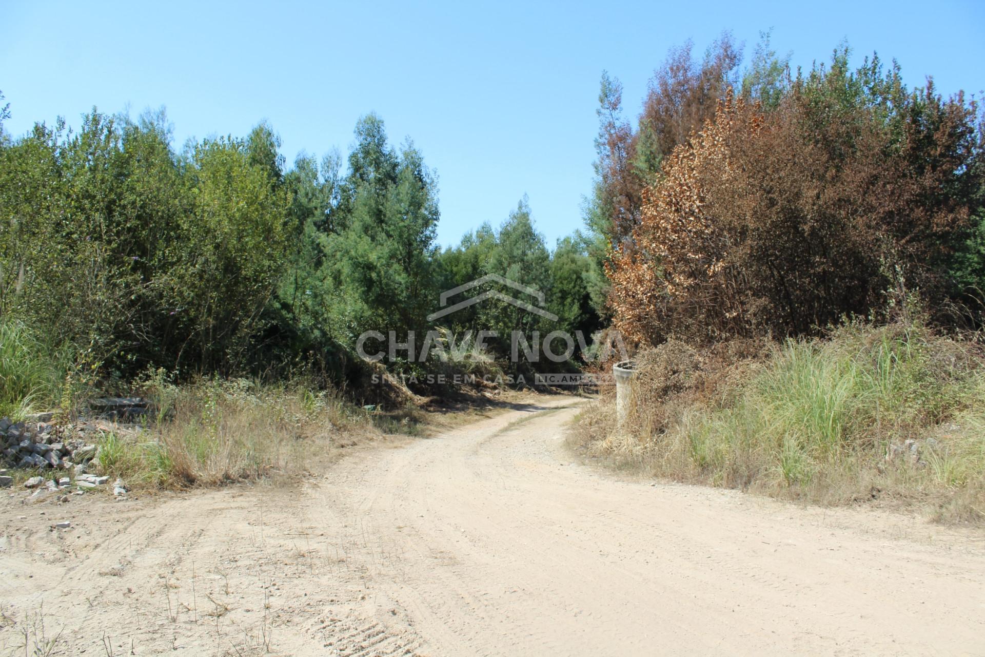 Lote Industrial  Venda em Mafamude e Vilar do Paraíso,Vila Nova de Gaia