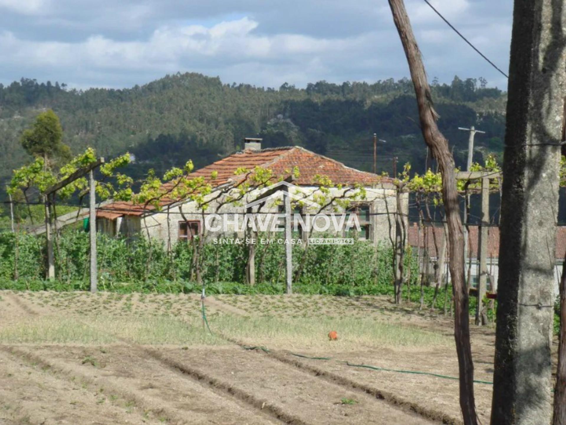 Quintinha  Venda em Mancelos,Amarante