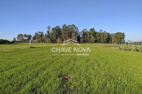Terreno Para Construção  Venda em Pedroso e Seixezelo,Vila Nova de Gaia