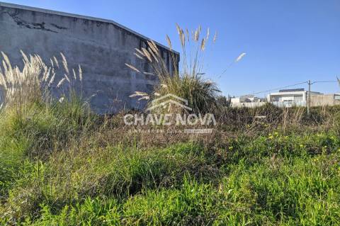 Terreno Para Construção  Venda em Nogueira da Regedoura,Santa Maria da Feira