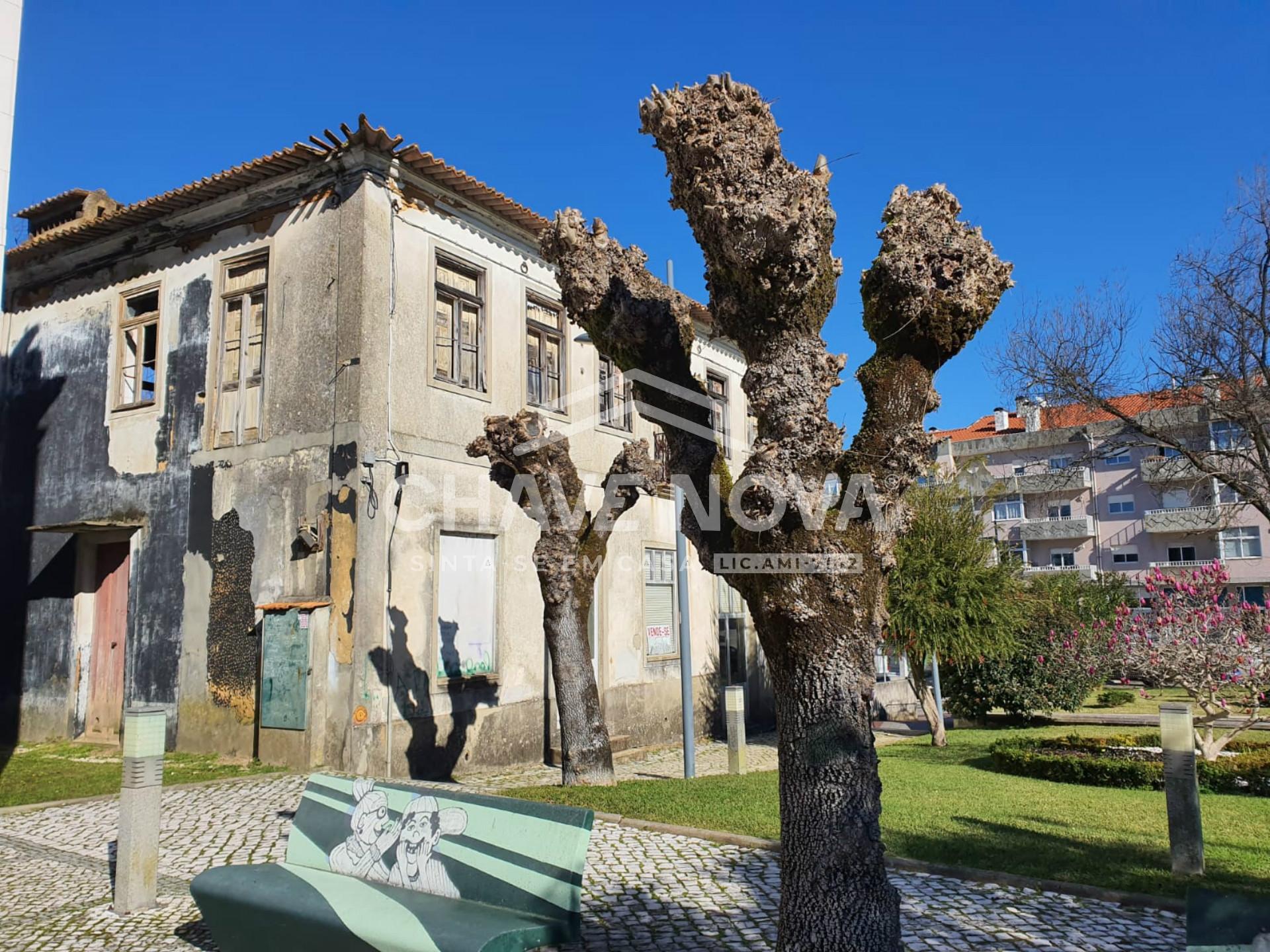 Terreno Misto  Venda em Oliveira do Bairro,Oliveira do Bairro