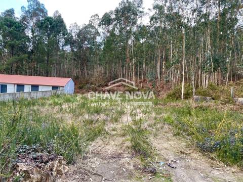 Terreno Urbano  Venda em Escapães,Santa Maria da Feira