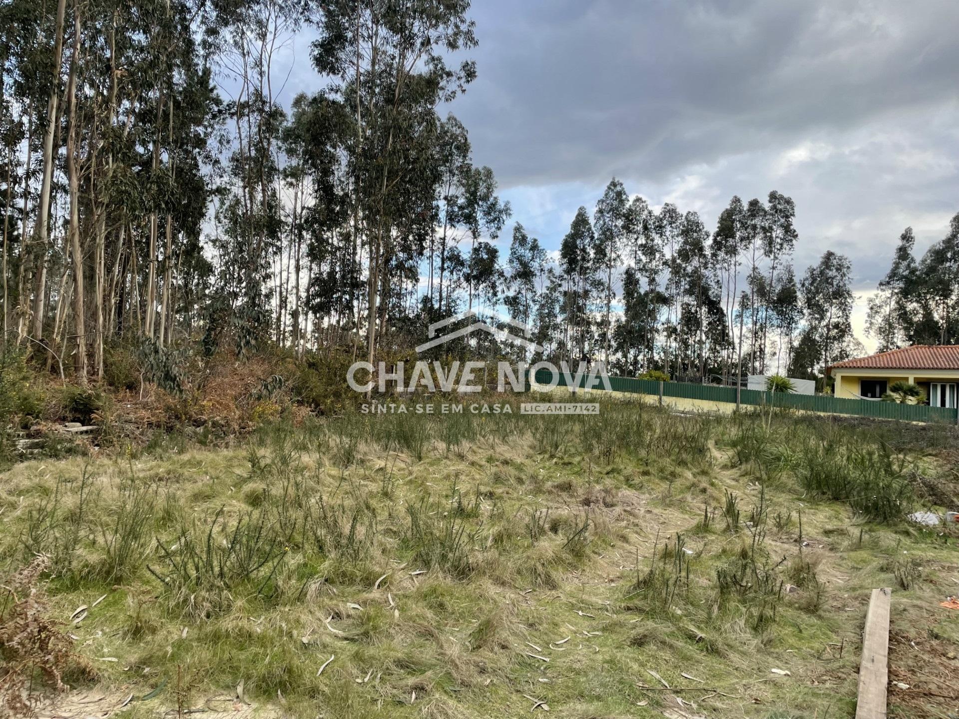 Terreno Urbano  Venda em Escapães,Santa Maria da Feira