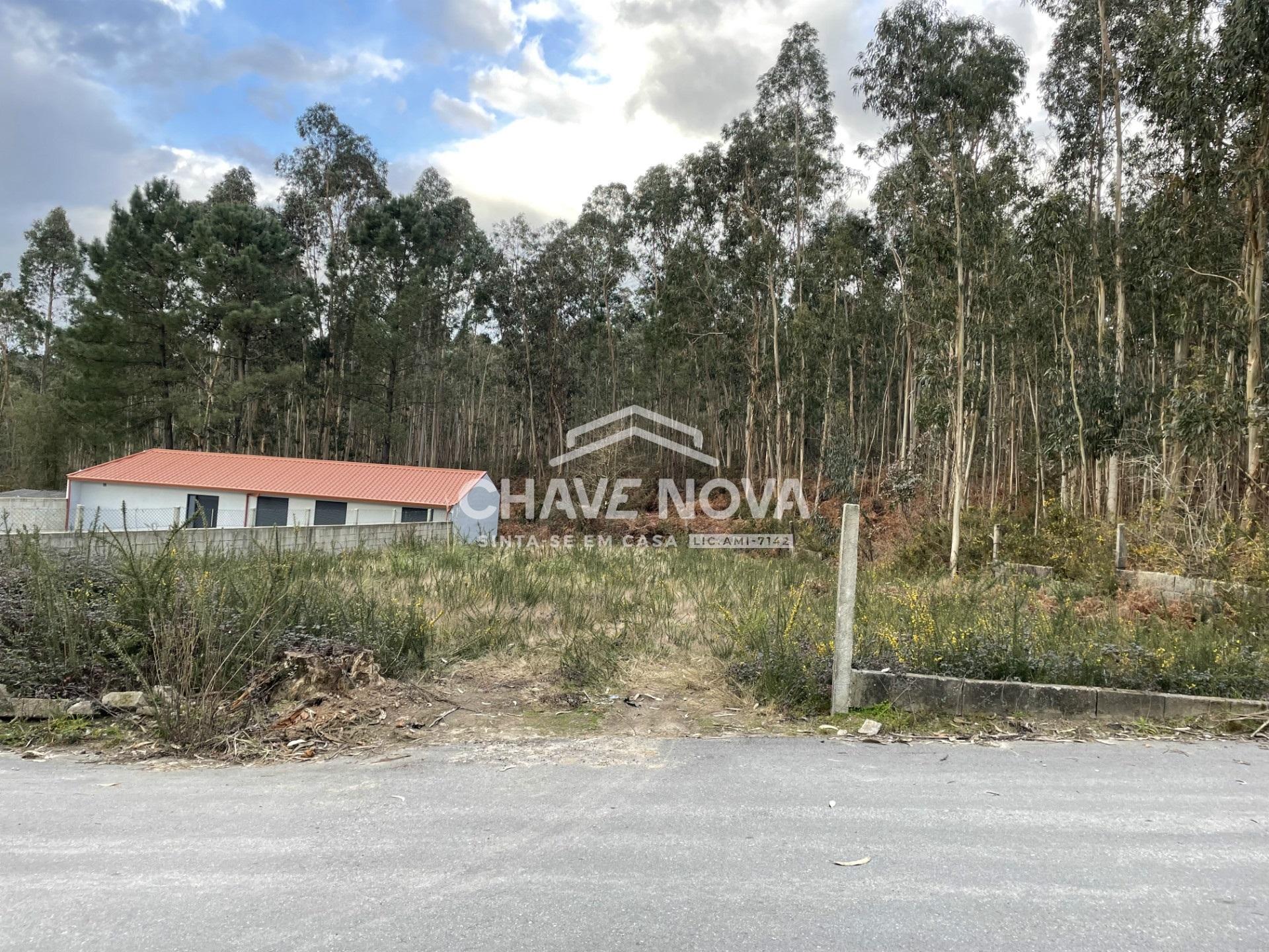 Terreno Urbano  Venda em Escapães,Santa Maria da Feira